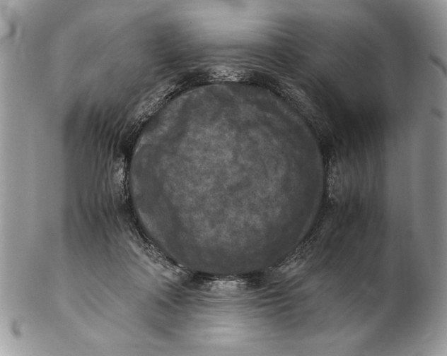 X0000102390314200808221831