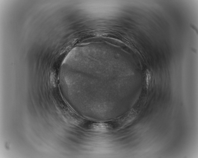 X0000102390316200808221831