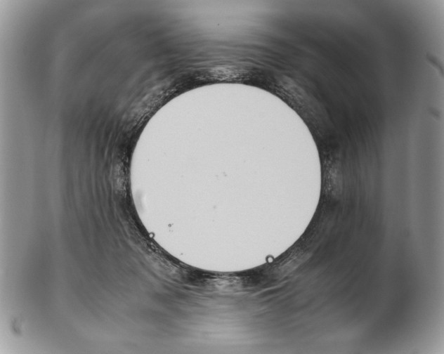 X0000102390317200808221831