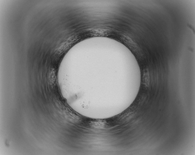 X0000102390318200808221831