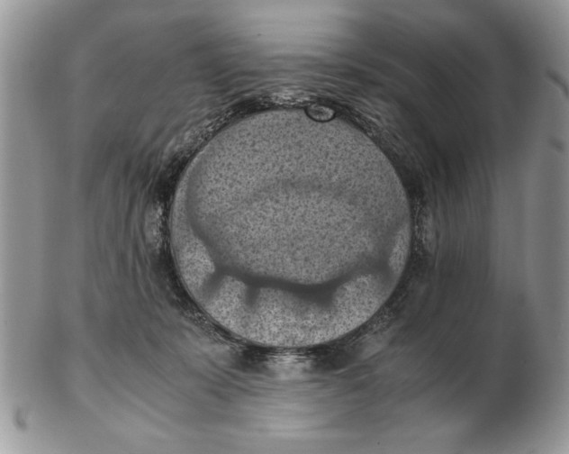 X0000102390319200808221831