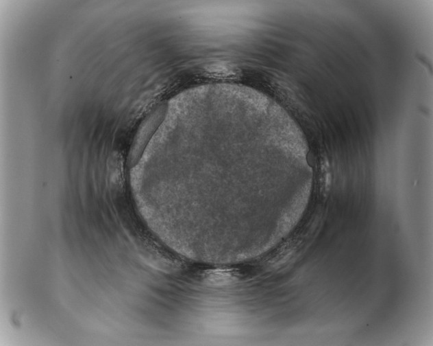 X0000102390320200808221831