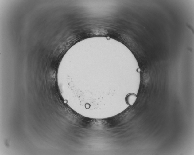X0000102390321200808221831