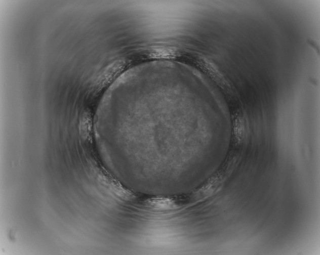 X0000102390322200808221831