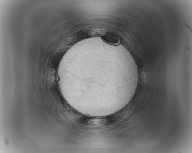 X0000102390323200808221831
