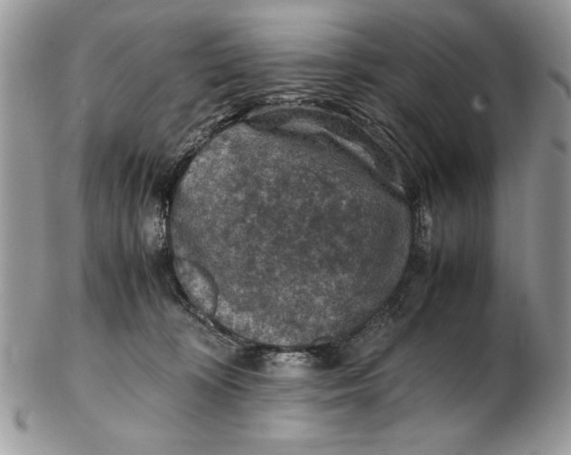 X0000102390324200808221831