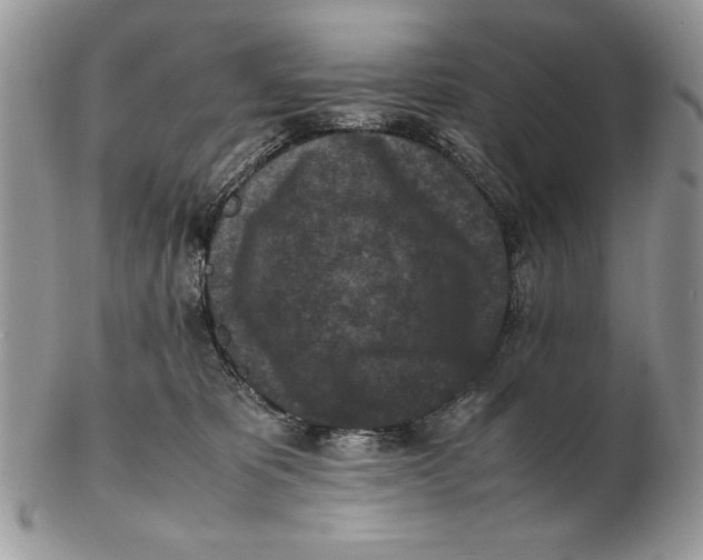 X0000102390325200808221831