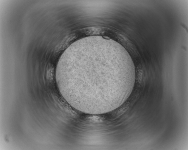 X0000102390326200808221830