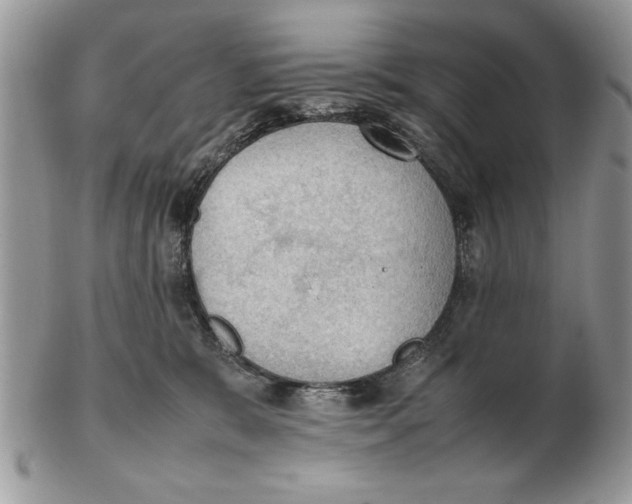 X0000102390327200808221830
