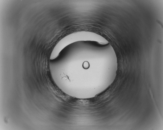 X0000102390328200808221830