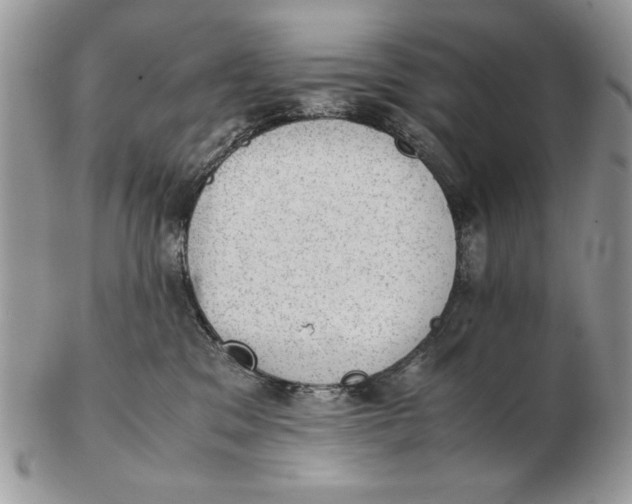 X0000102390329200808221830