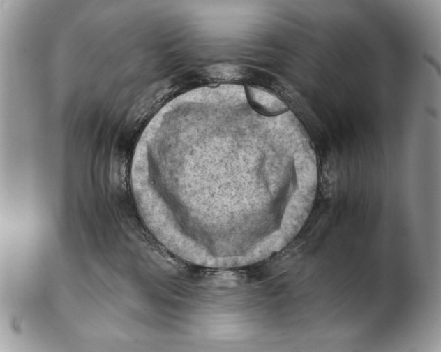 X0000102390330200808221830