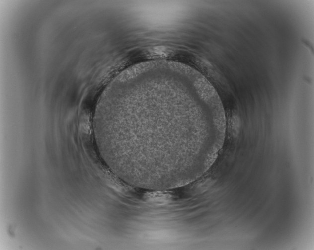 X0000102390331200808221830