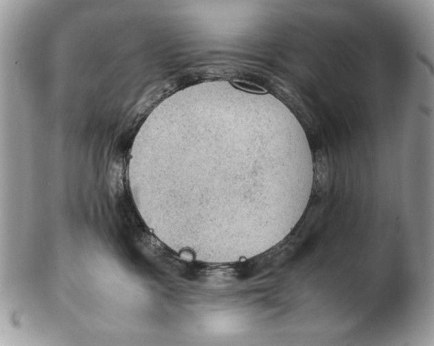 X0000102390333200808221830