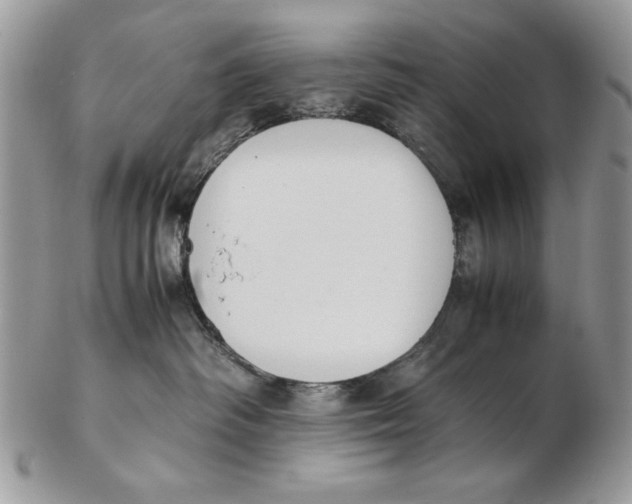 X0000102390334200808221830