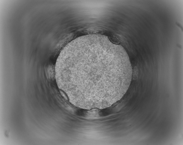 X0000102390335200808221830