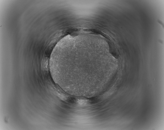 X0000102390336200808221830