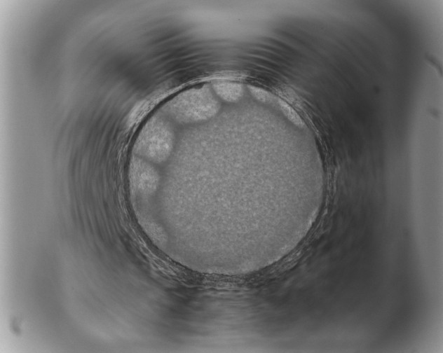 X0000102390337200808221830