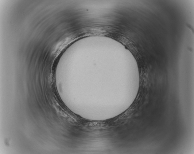 X0000102390338200808221830