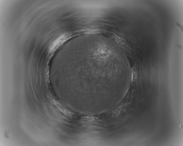 X0000102390339200808221830