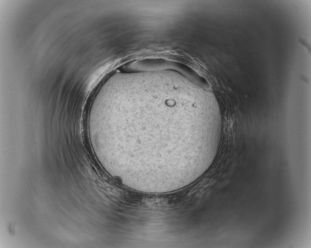 X0000102390340200808221830
