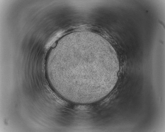 X0000102390341200808221830