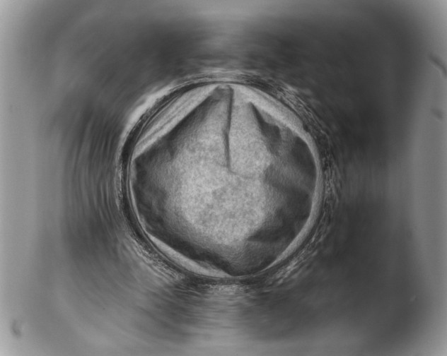 X0000102390342200808221830