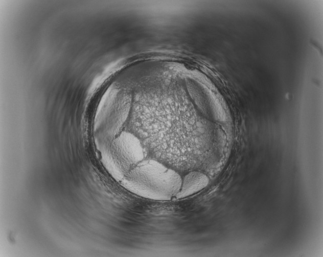 X0000102390343200808221830