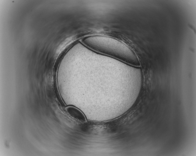 X0000102390344200808221830