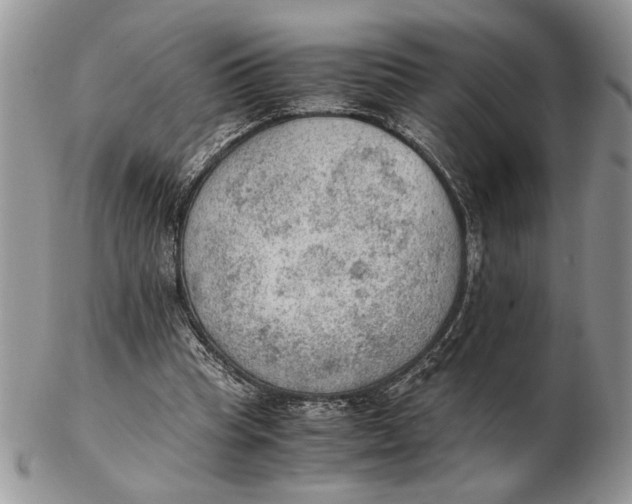 X0000102390345200808221830