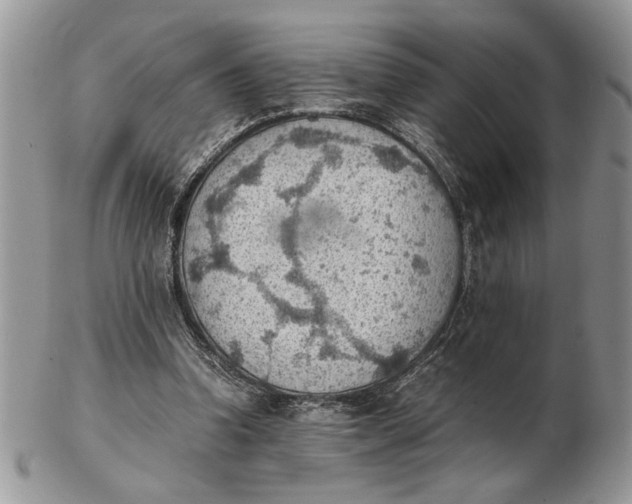 X0000102390346200808221830