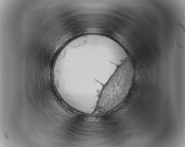 X0000102390347200808221830