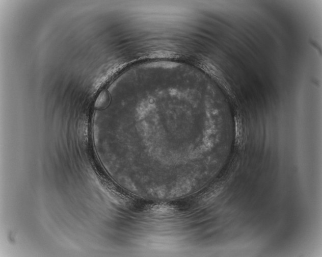 X0000102390348200808221830