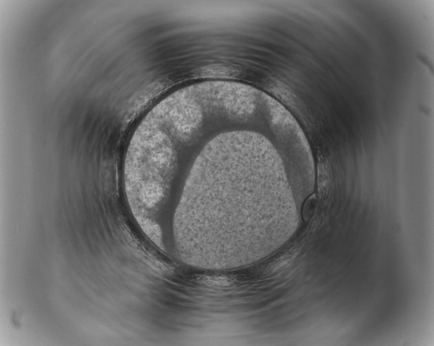 X0000102390349200808221830