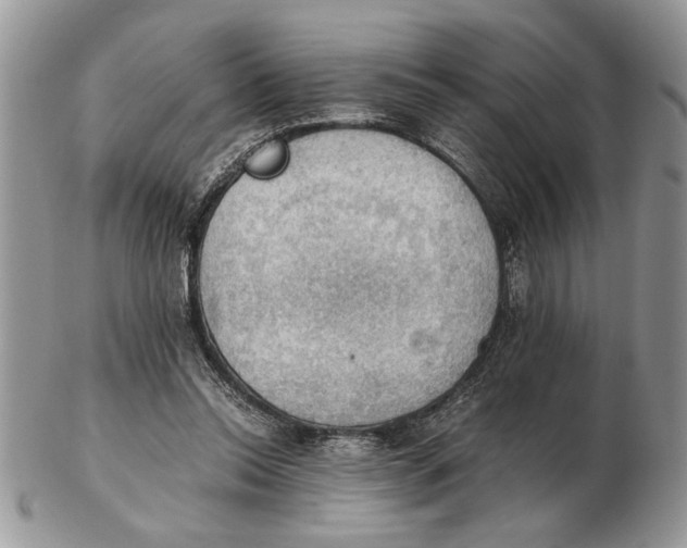 X0000102390350200808221830
