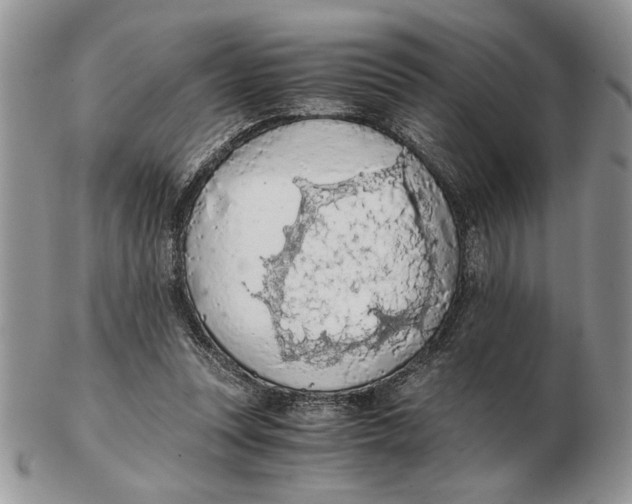 X0000102390351200808221830