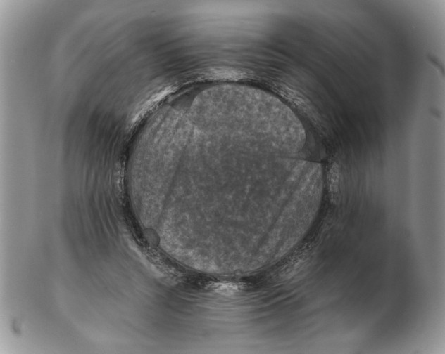 X0000102390352200808221830