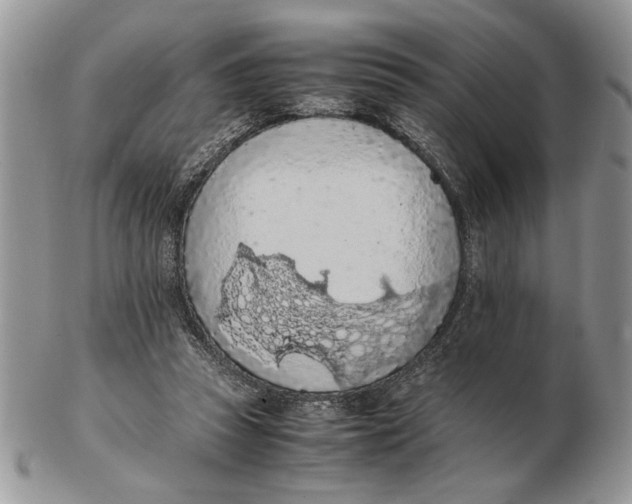X0000102390353200808221830