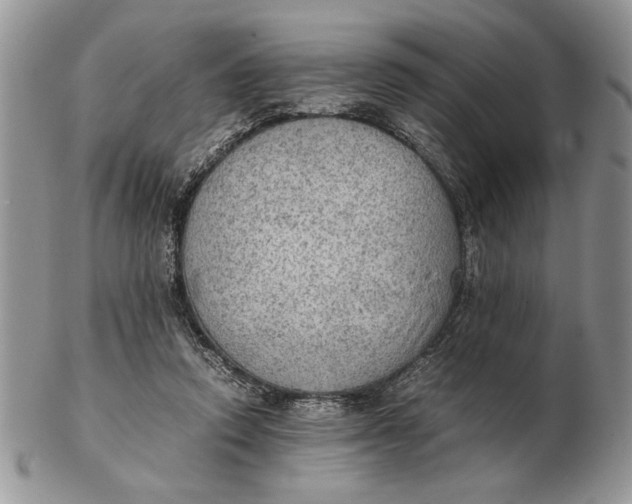 X0000102390354200808221830
