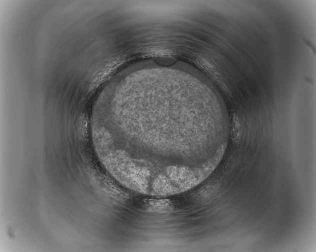 X0000102390355200808221830