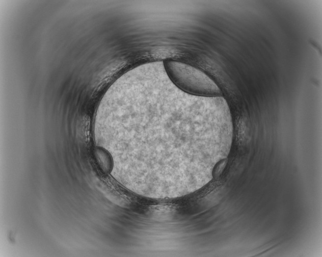 X0000102390356200808221830