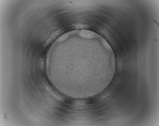 X0000102390357200808221830