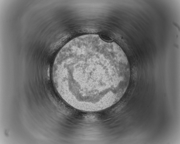 X0000102390358200808221830
