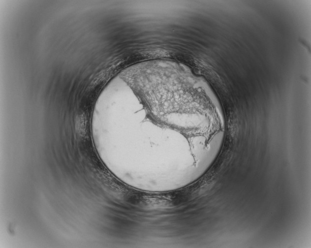 X0000102390359200808221830