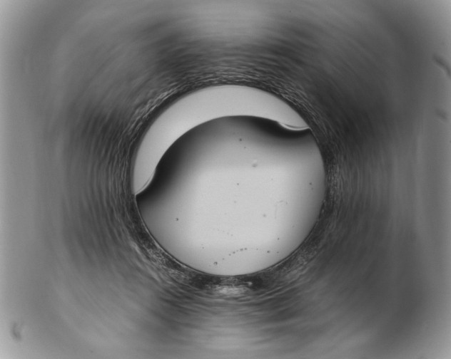 X0000102390360200808221830