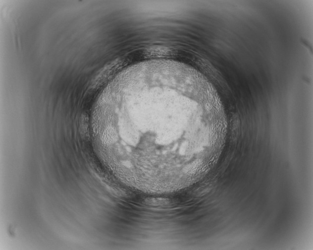 X0000102390361200808221830