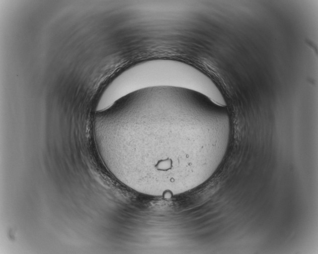 X0000102390362200808221830