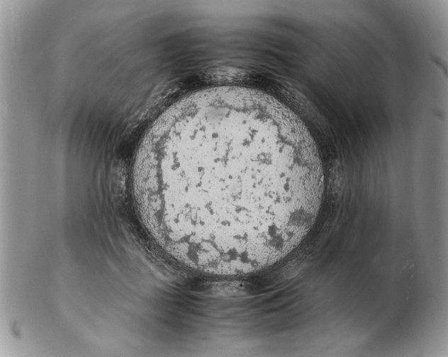 X0000102390363200808221830