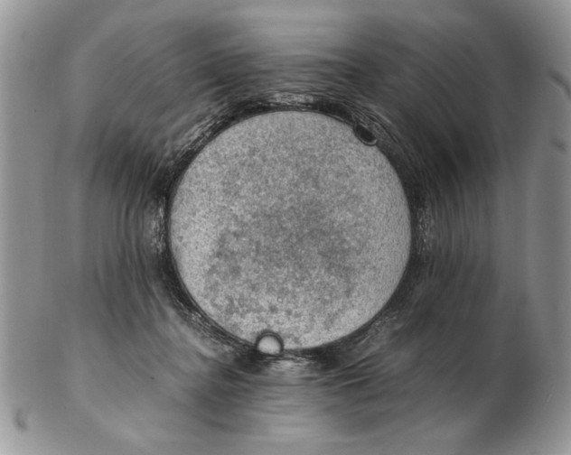 X0000102390364200808221830