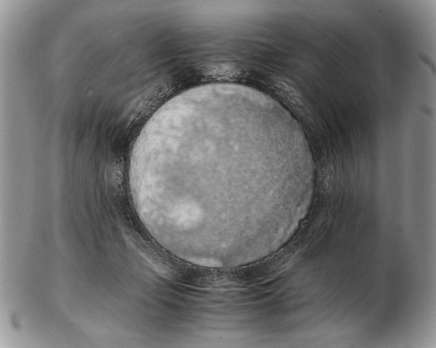 X0000102390365200808221830